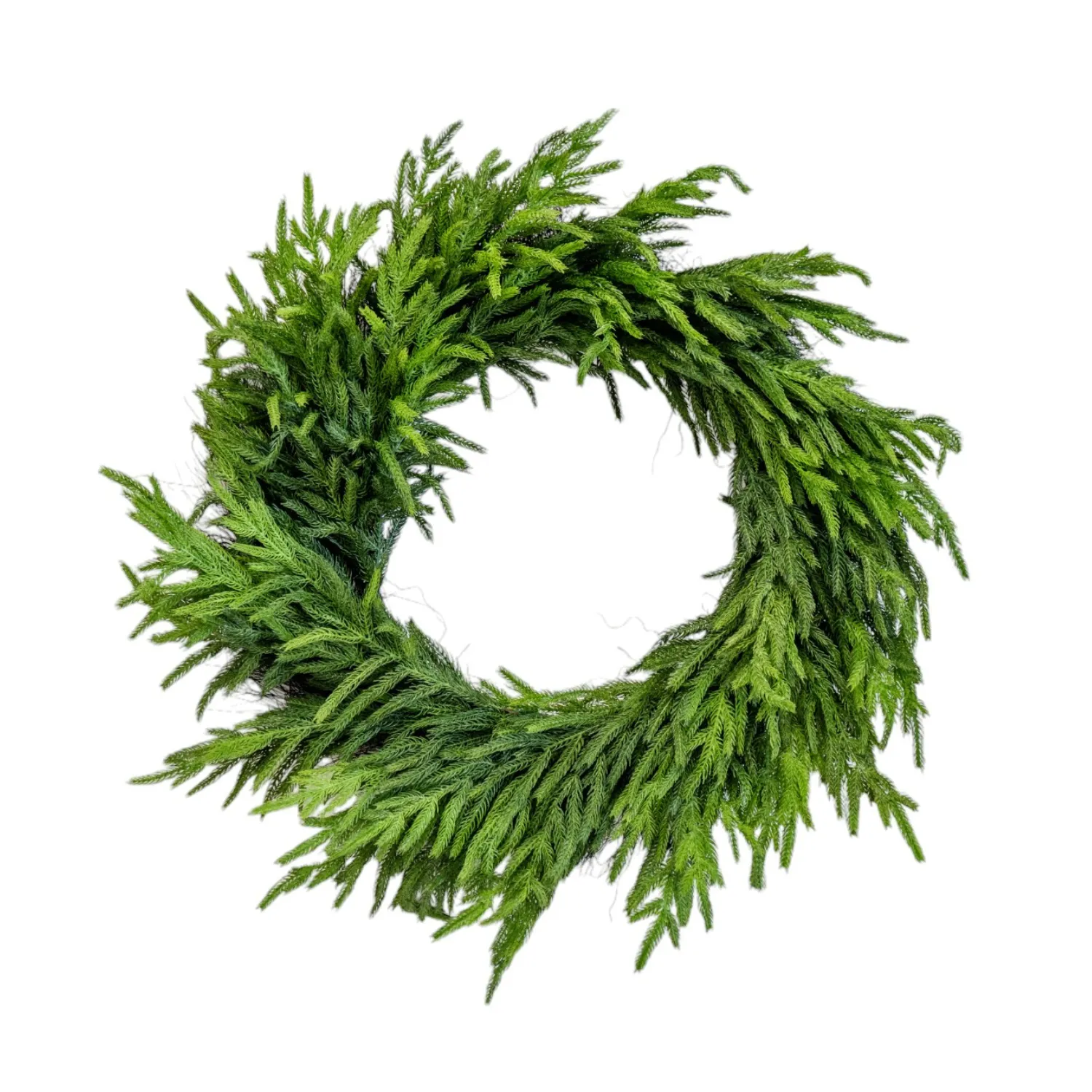 Artificial 30" Fresh Touch Norfolk Pine Wreath