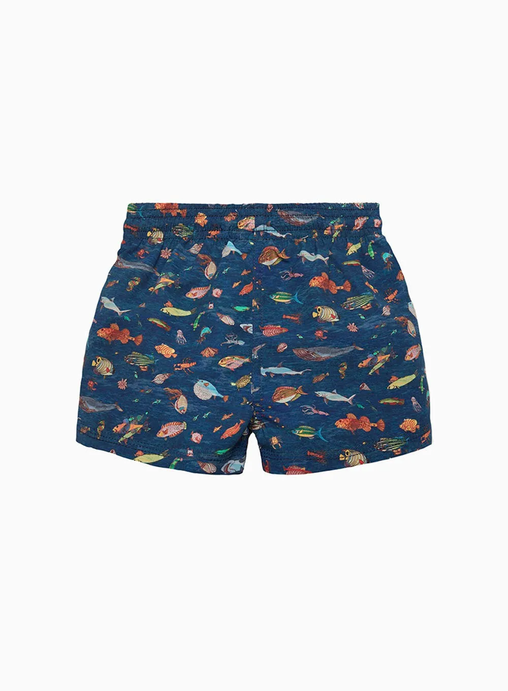 Baby Swimshorts in Aquarium