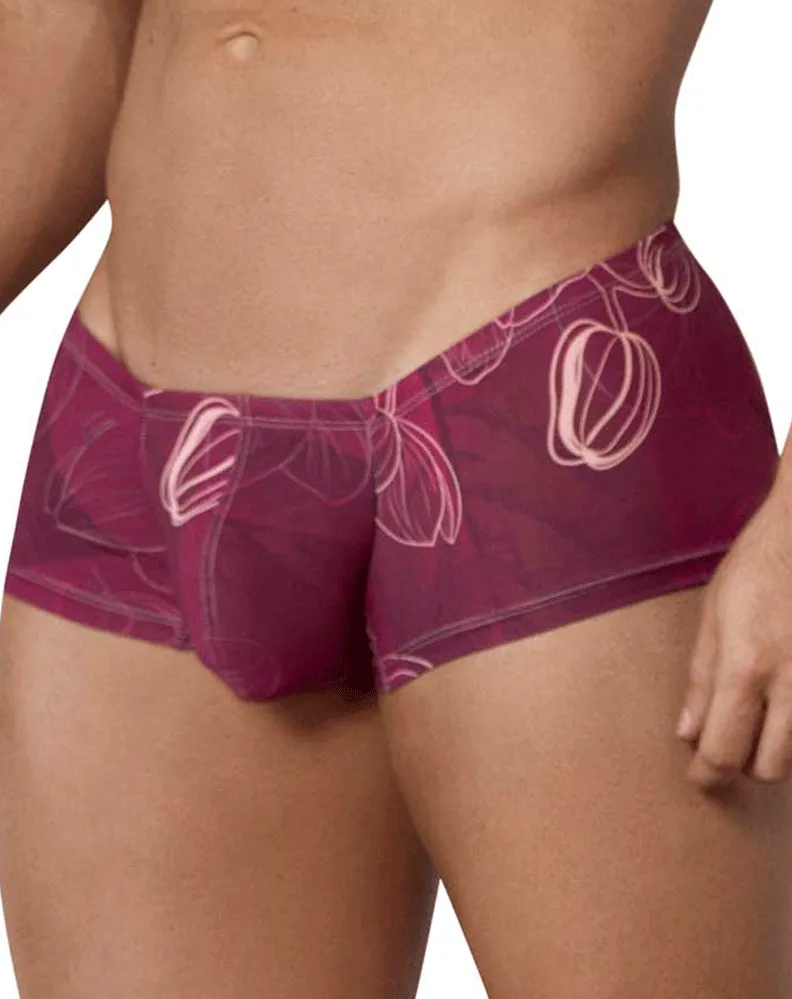 Clever 1582 Ramo Trunks Grape